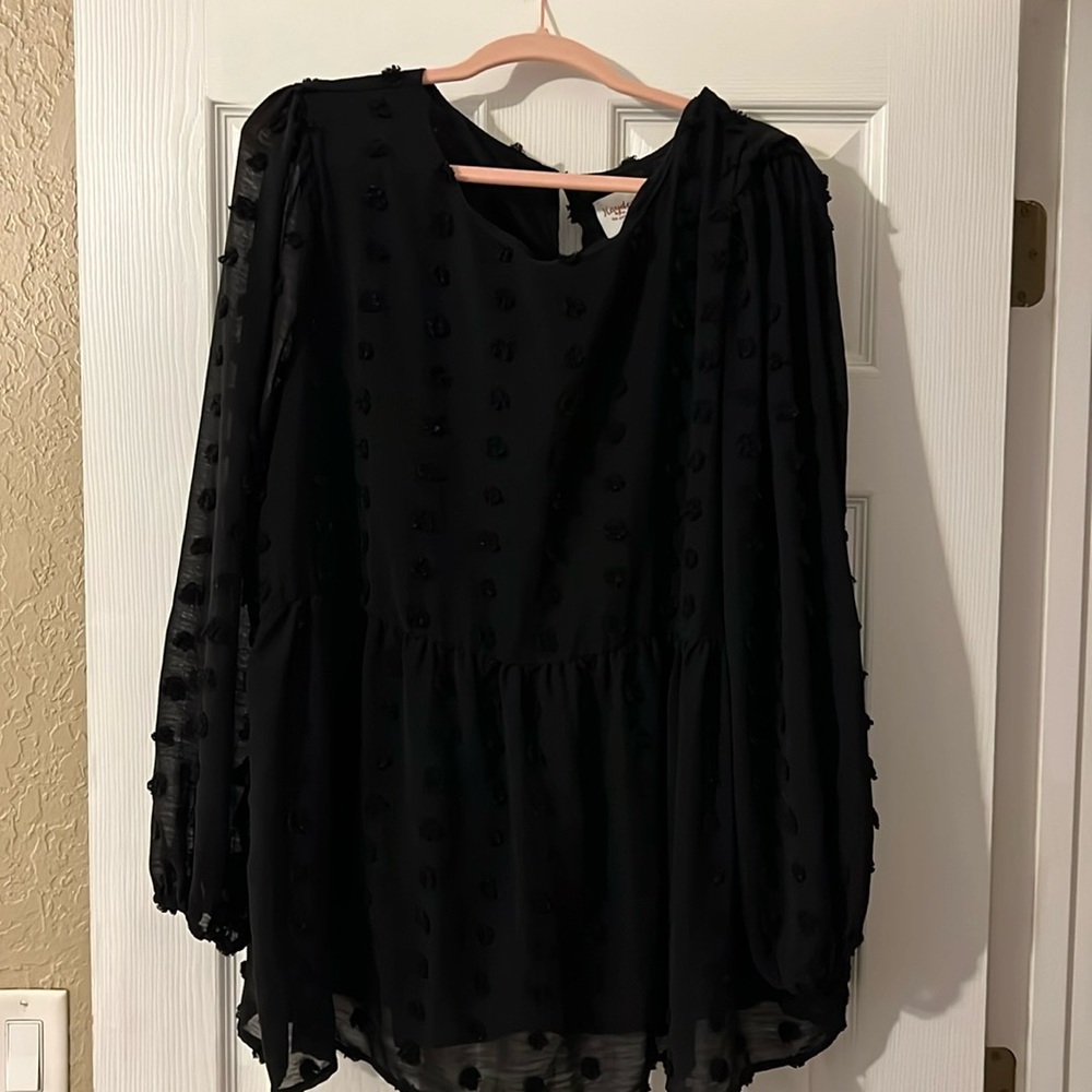 Hayden Black Sheer Swiss Dot Long Sleeve Blouse